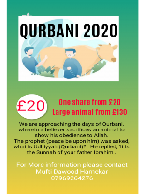 India Qurbani MDH Demo